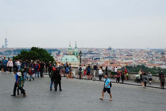 DSC_6521.JPG