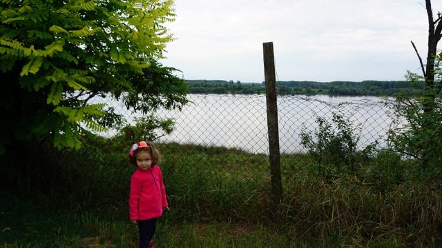 DSC00161.JPG (109.1 KiB) Vizualizat de 5195 ori Camping Dunav Belgrad