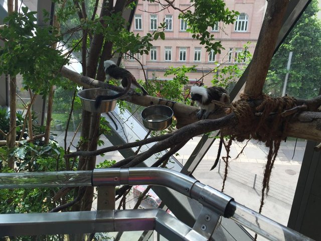 HAUS des MEERES