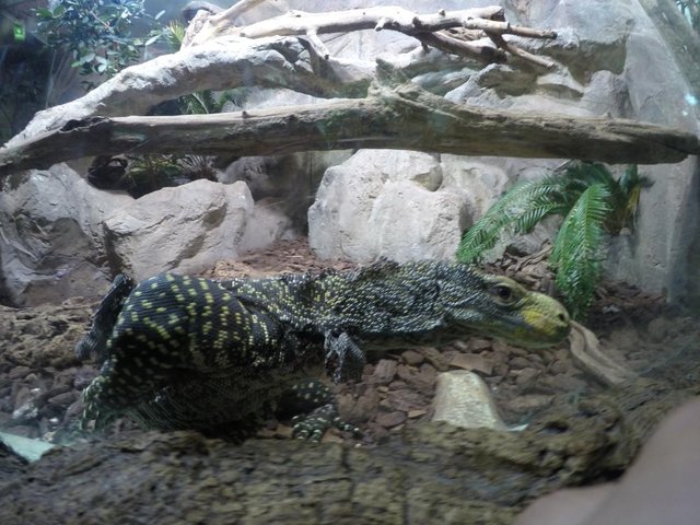 HAUS des MEERES - Aqua Terra Zoo