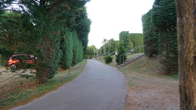 DSC00733.JPG