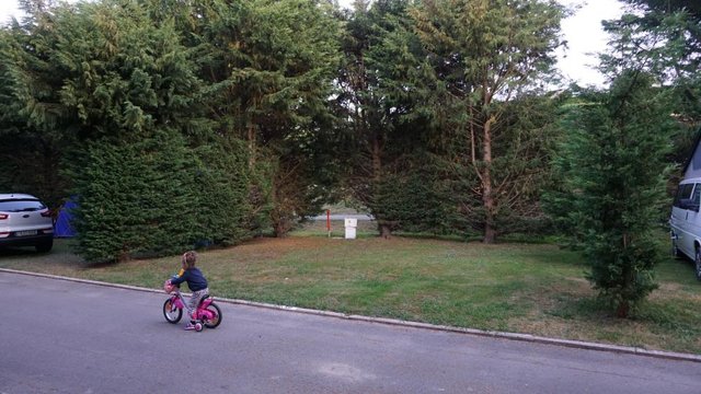 DSC00735.JPG