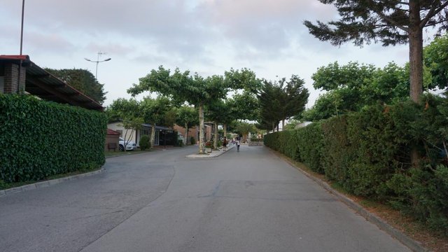 DSC00742.JPG