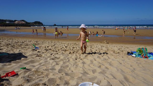 DSC00795.JPG