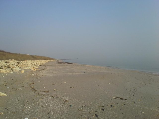 20150312_084911.jpg