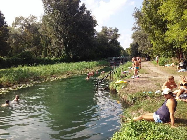 lac1.jpg