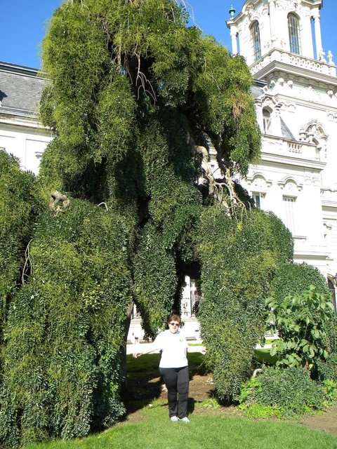 castel5.jpg