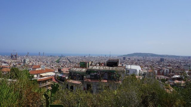 DSC01101.JPG