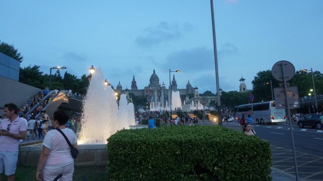 DSC01216.JPG