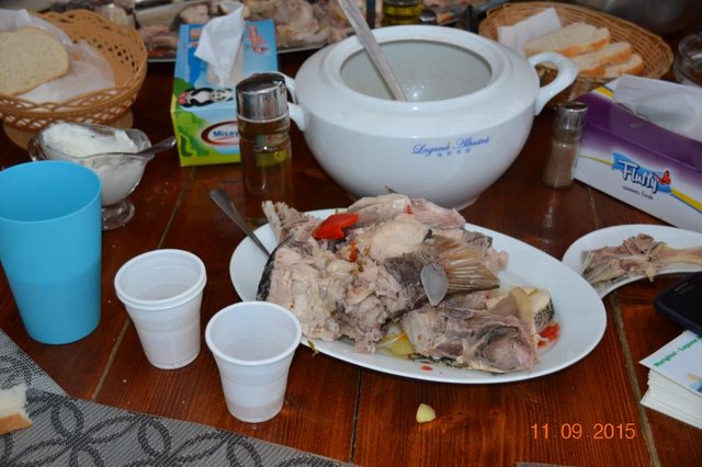 DSC_0332.JPG