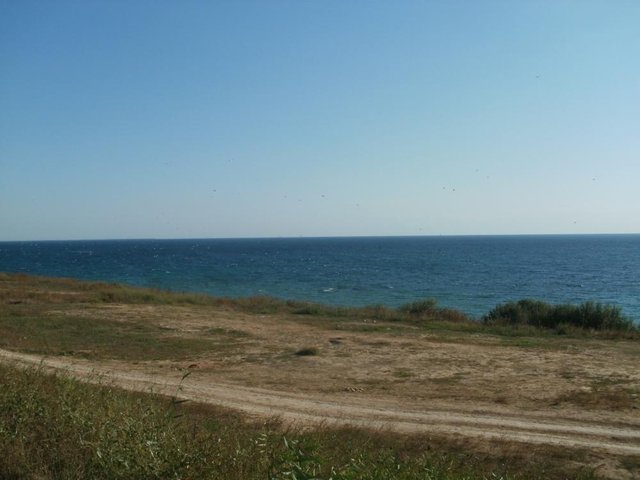 P9091534.JPG