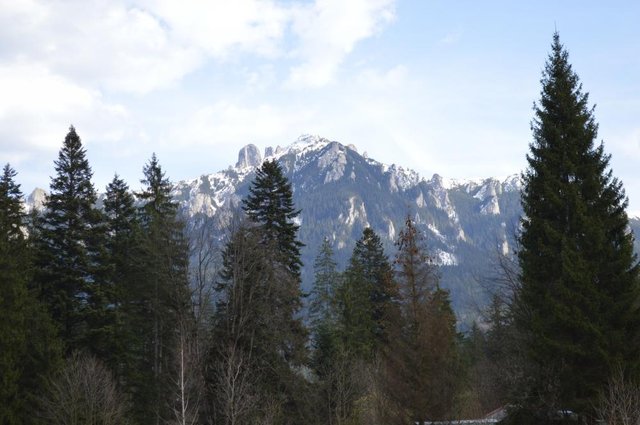DSC_0282.JPG