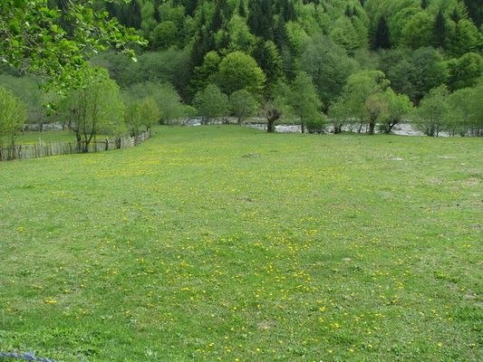 Terenul cabanierului Costel, posibila locatie de campare pentru rulote