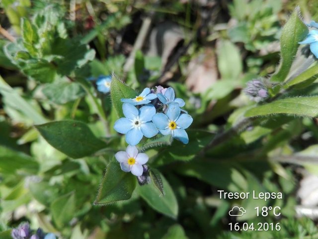 IMG_20160416_142104.jpg