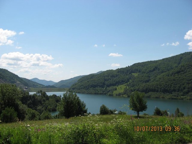 N197.JPG