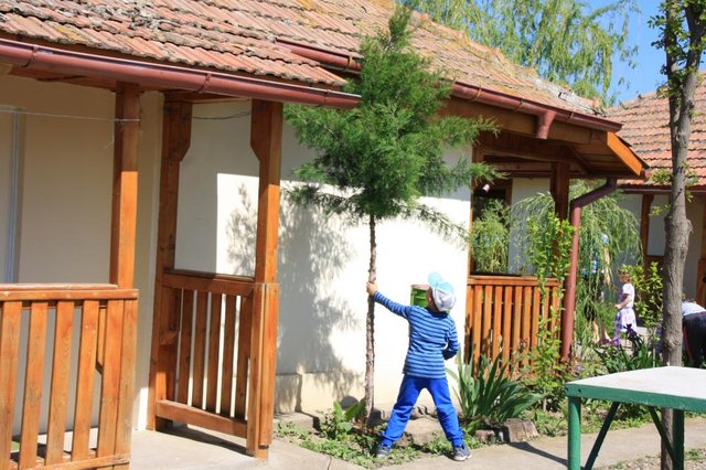 S-au scuturat si pomii in cautarea oualelor