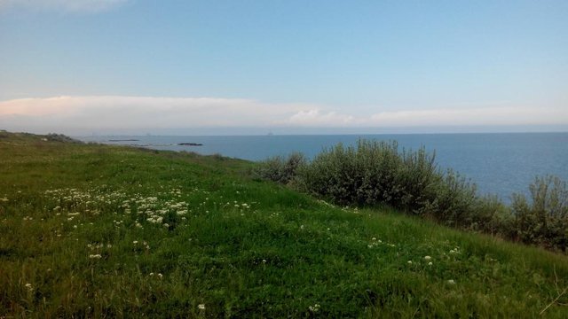 IMG_20160507_153536.jpg