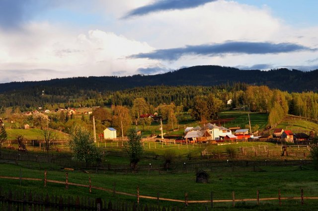 Bucovina-1.jpg