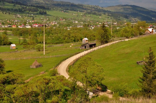 Bucovina-2.jpg
