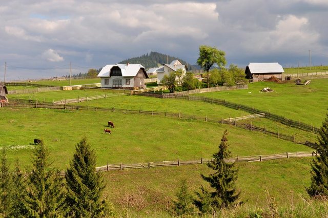 Bucovina-3.jpg