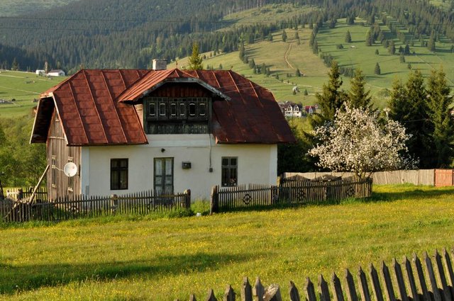 Bucovina-4.jpg