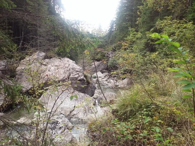 20151004_110645.jpg
