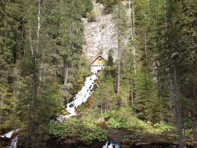 20151004_120417.jpg