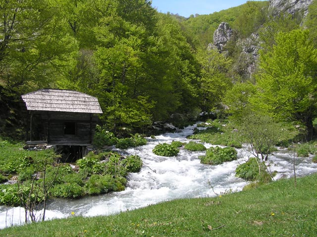 Izvoarele Cernei