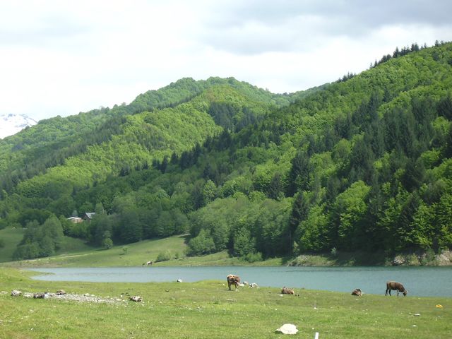 vedere din rulota