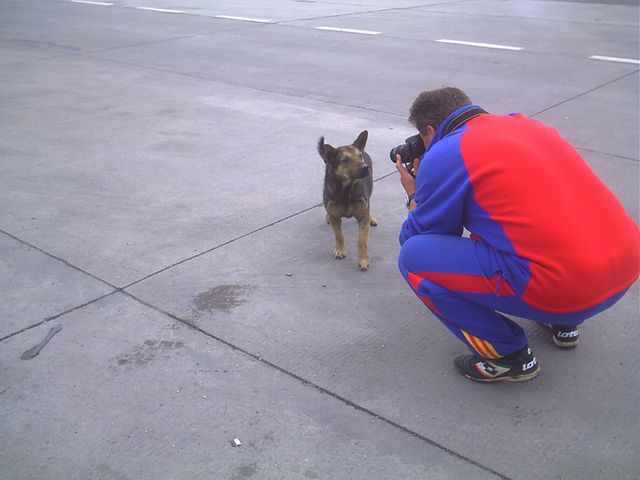 interviu in parcare [640x480].jpg