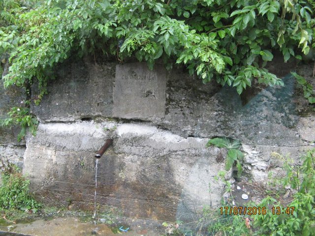 ET1151.JPG