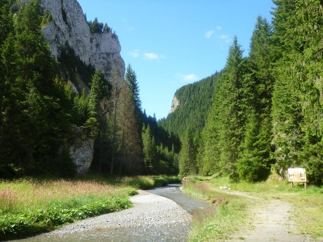 2016-08-13 10-55-18.JPG