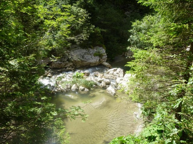 2016-08-13 11-01-19.JPG