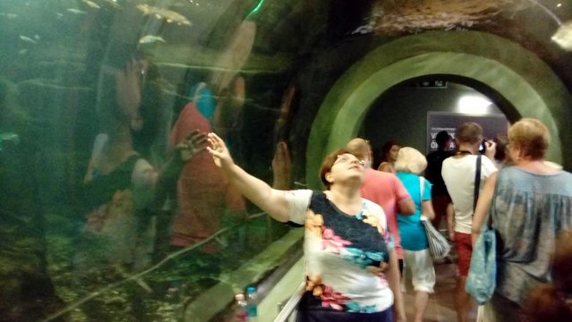 20160810_122243.jpg