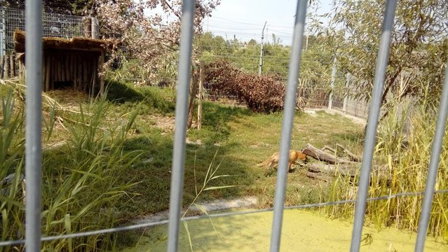 20160810_131718.jpg