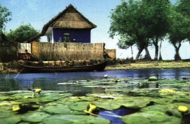 2-delta-dunarii.jpg