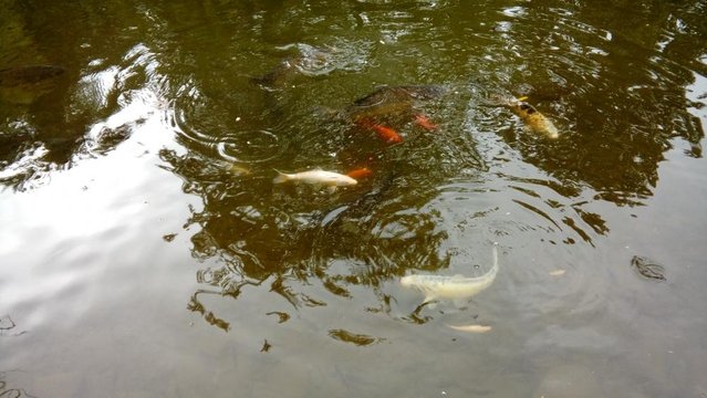 20160817_121340.jpg