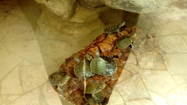 20160817_123047.jpg