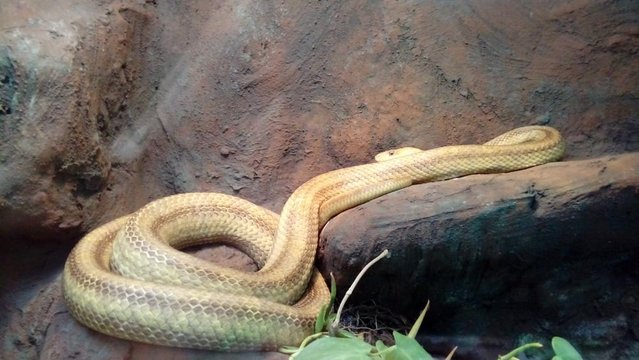 20160817_123502.jpg