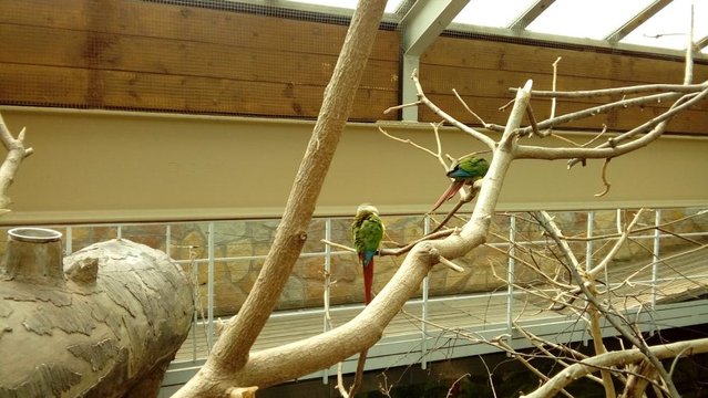 20160817_123822.jpg