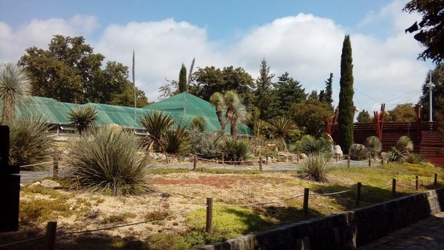 20160817_124440.jpg