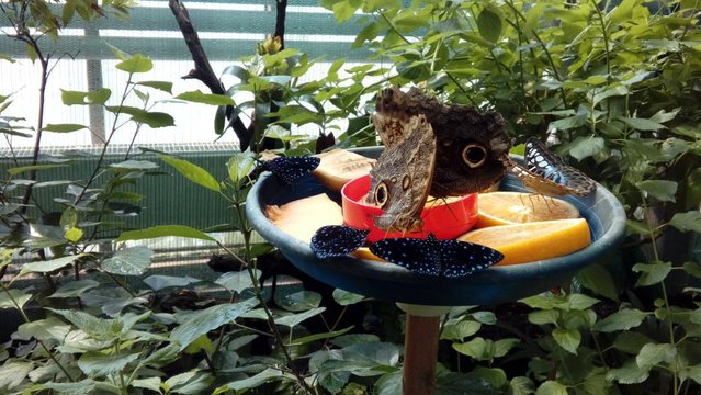 20160817_130916.jpg