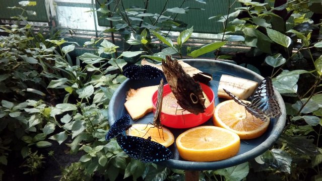 20160817_130922.jpg