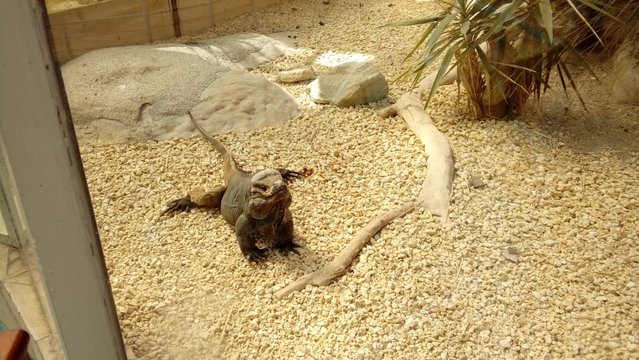 20160817_133159.jpg