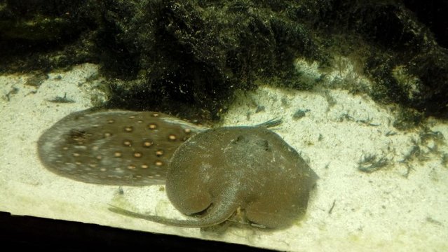20160817_133324.jpg