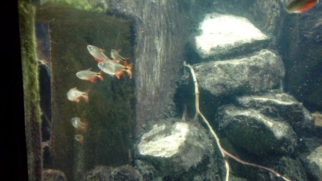 20160817_133331.jpg