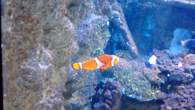 20160817_133428.jpg