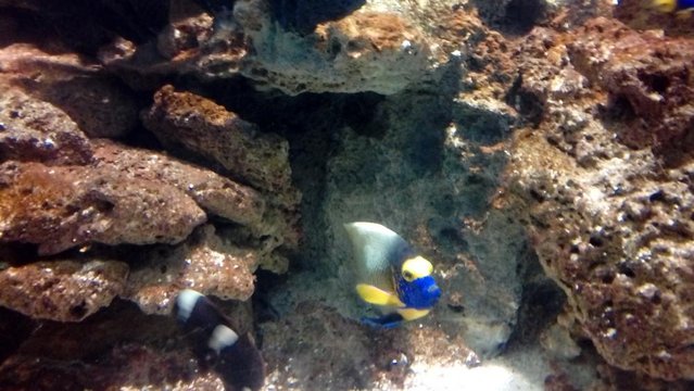 20160817_133511.jpg
