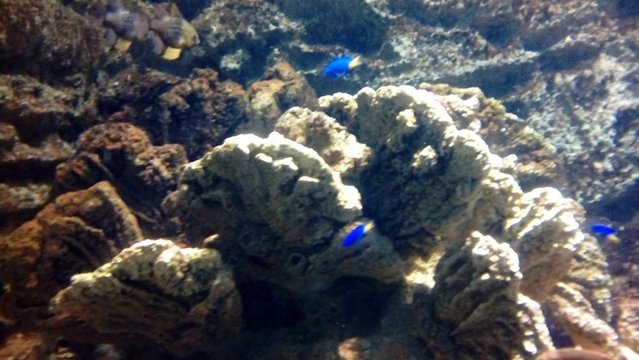 20160817_133525.jpg