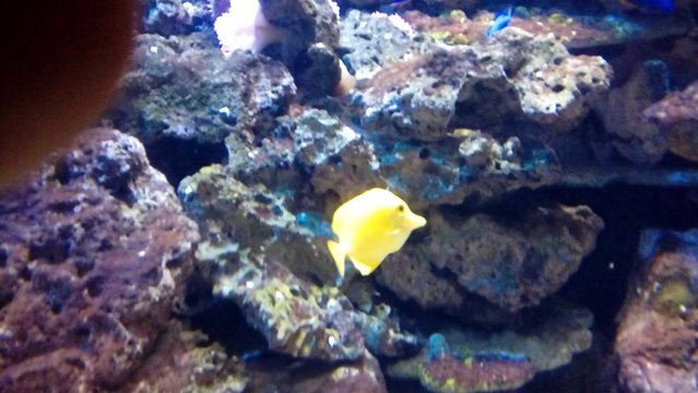 20160817_133629.jpg